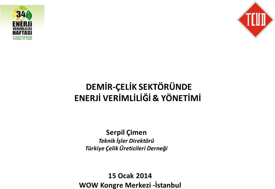 Teknik İşler Direktörü Türkiye Çelik