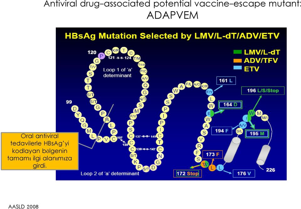 antiviral tedavilerle HBsAg yi kodlayan