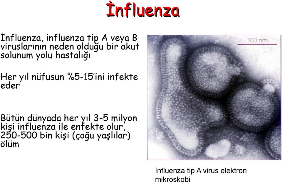 Bütün dünyada her yıl 3-5 milyon kiģi influenza ile enfekte olur,