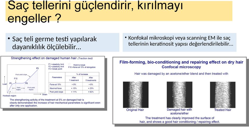 ölçülebilir Konfokal mikroskopi veya scanning EM