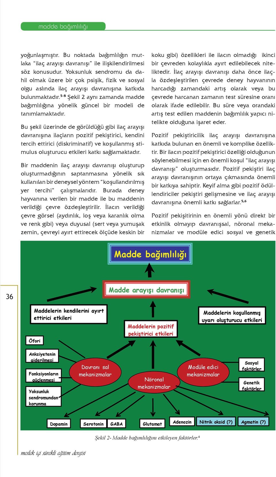 5-8 Şekil 2 aynı zamanda madde bağımlılığına yönelik güncel bir modeli de tanımlamaktadır.