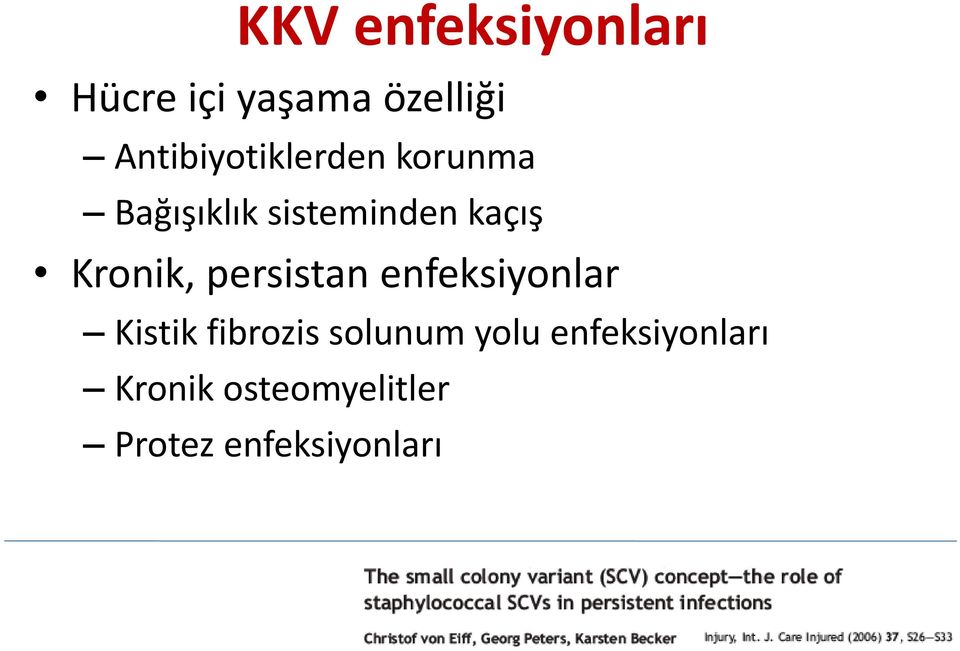 Kronik, persistan enfeksiyonlar Kistik fibrozis