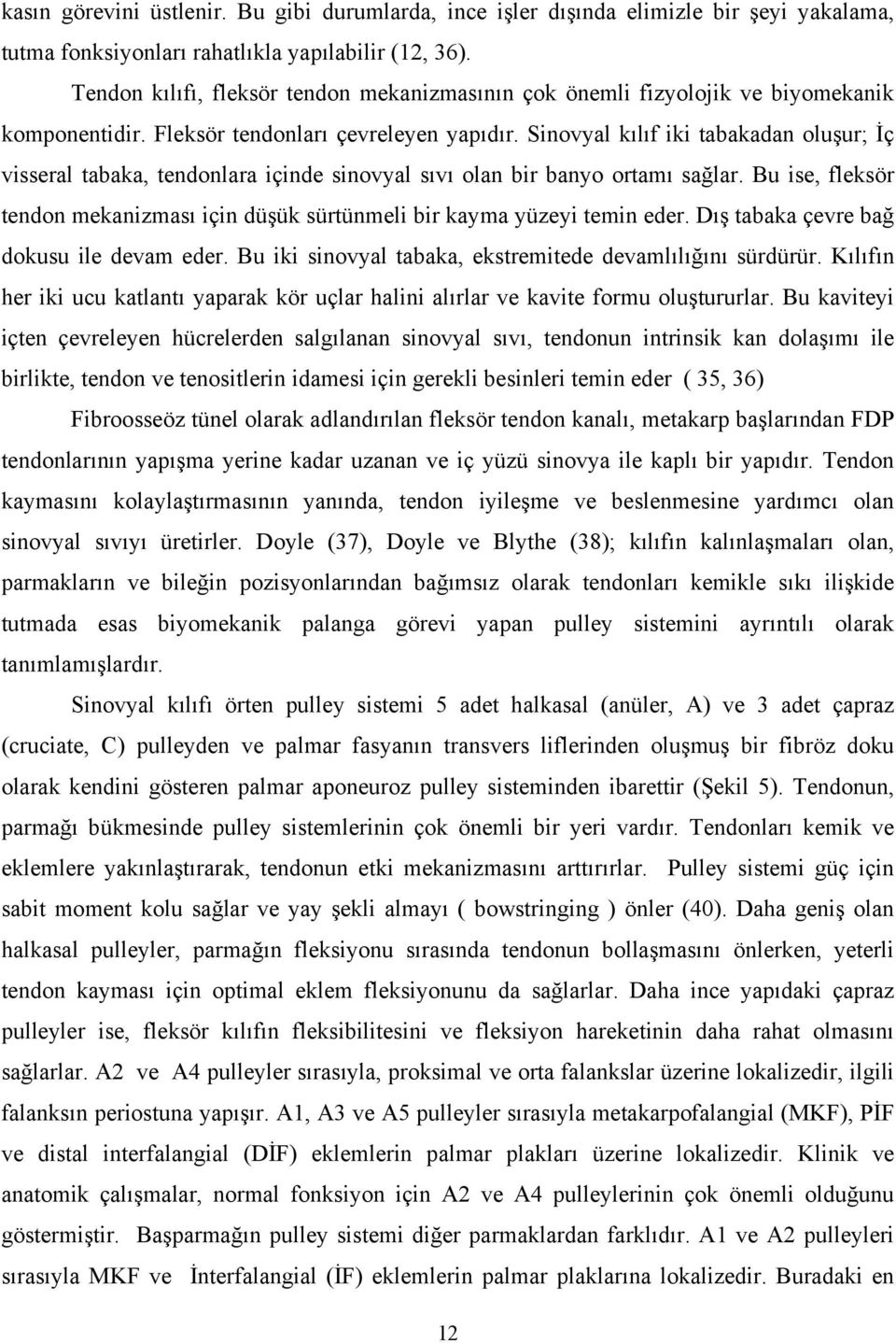 Sinovyal kılıf iki tabakadan oluşur; İç visseral tabaka, tendonlara içinde sinovyal sıvı olan bir banyo ortamı sağlar.