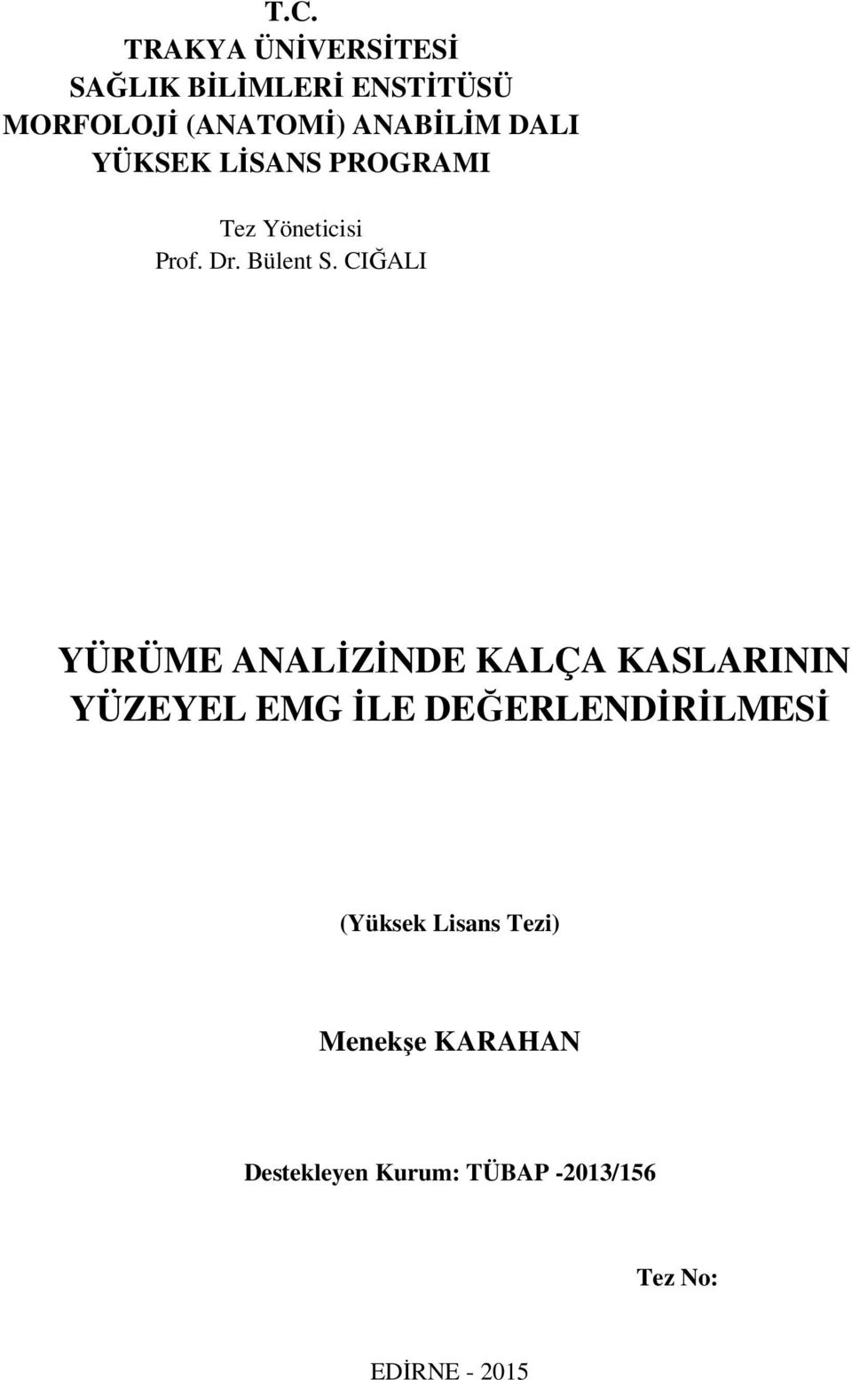 CIĞALI YÜRÜME ANALİZİNDE KALÇA KASLARININ YÜZEYEL EMG İLE DEĞERLENDİRİLMESİ