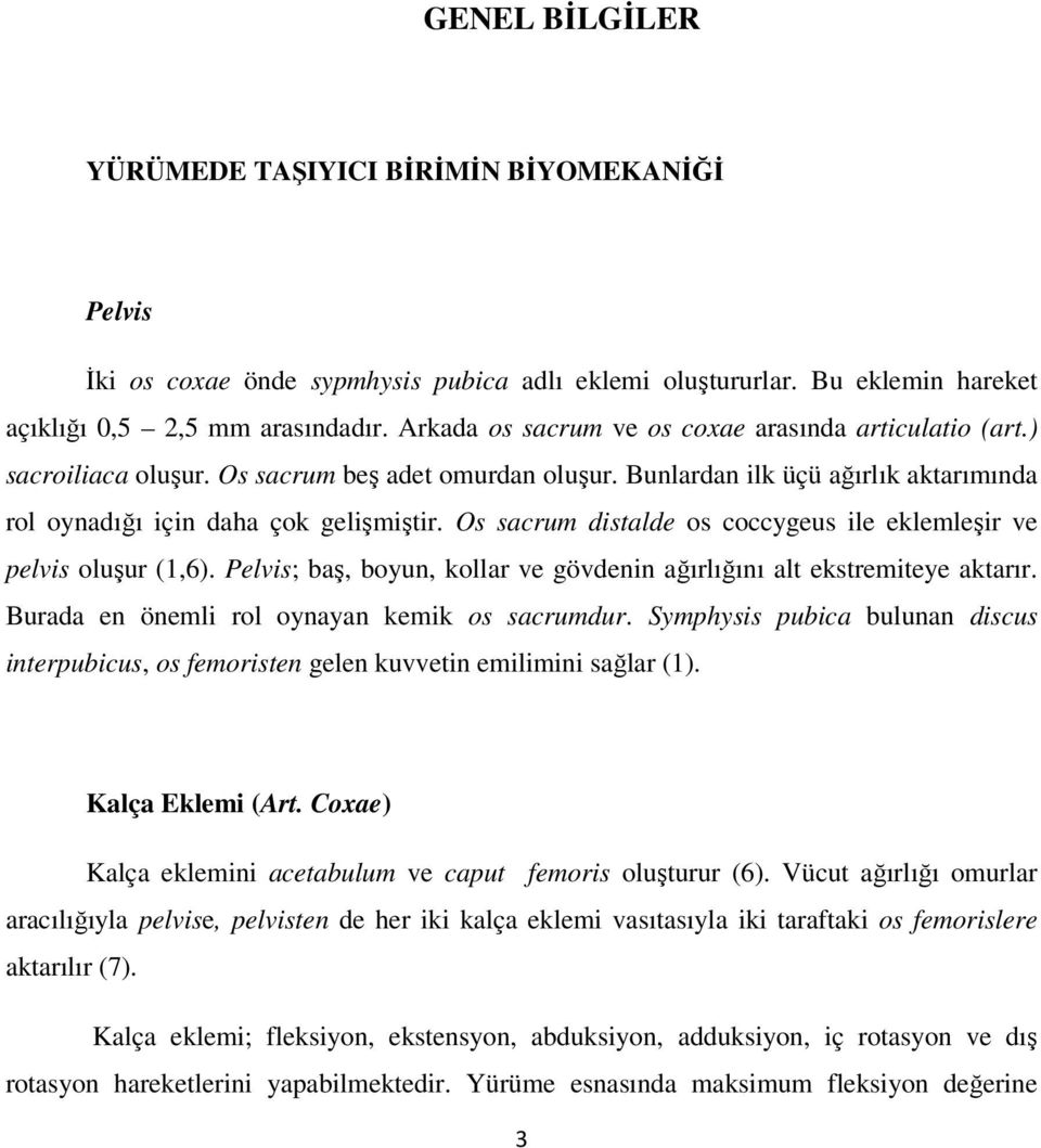 Os sacrum distalde os coccygeus ile eklemleşir ve pelvis oluşur (1,6). Pelvis; baş, boyun, kollar ve gövdenin ağırlığını alt ekstremiteye aktarır. Burada en önemli rol oynayan kemik os sacrumdur.