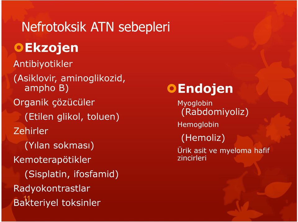 Kemoterapötikler (Sisplatin, ifosfamid) Radyokontrastlar 11 Bakteriyel toksinler