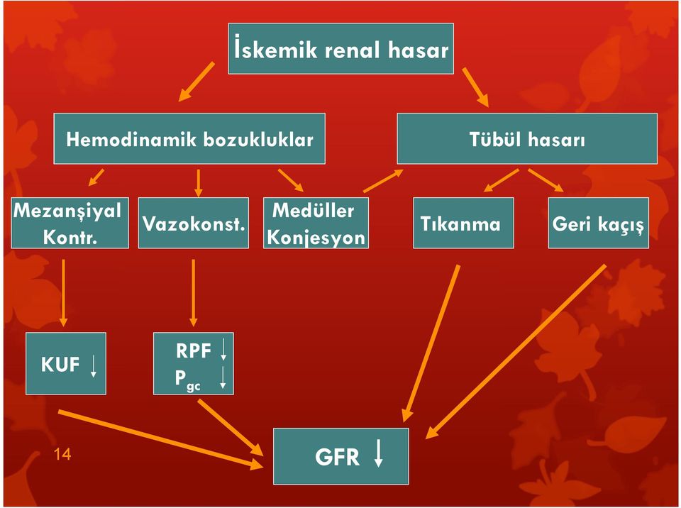 Kontr. Vazokonst.