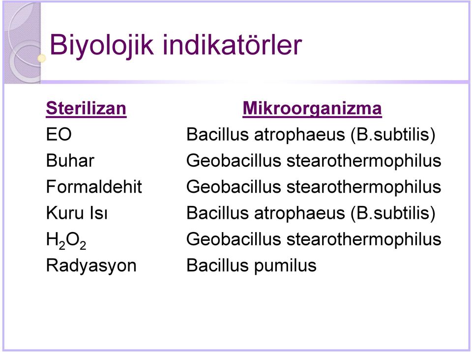 subtilis) Geobacillus stearothermophilus Geobacillus