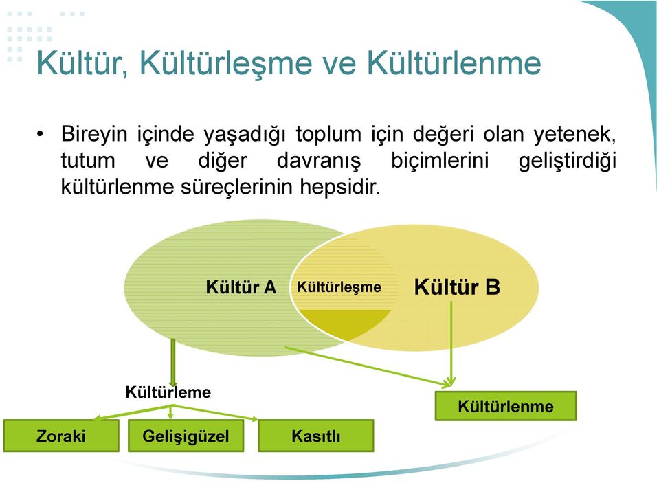 biçimlerini geliştirdiği kültürlenme süreçlerinin hepsidir.