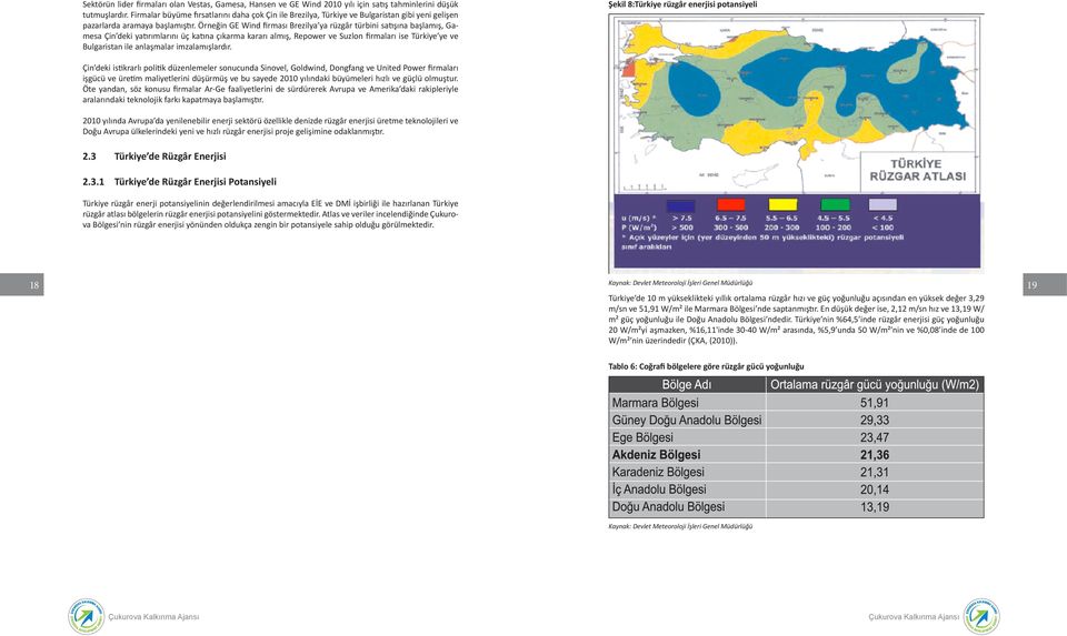 Örneğin GE Wind firması Brezilya ya rüzgâr türbini satışına başlamış, Gamesa Çin deki yatırımlarını üç katına çıkarma kararı almış, Repower ve Suzlon firmaları ise Türkiye ye ve Bulgaristan ile