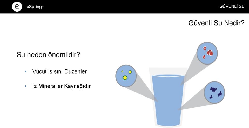 Su neden önemlidir?