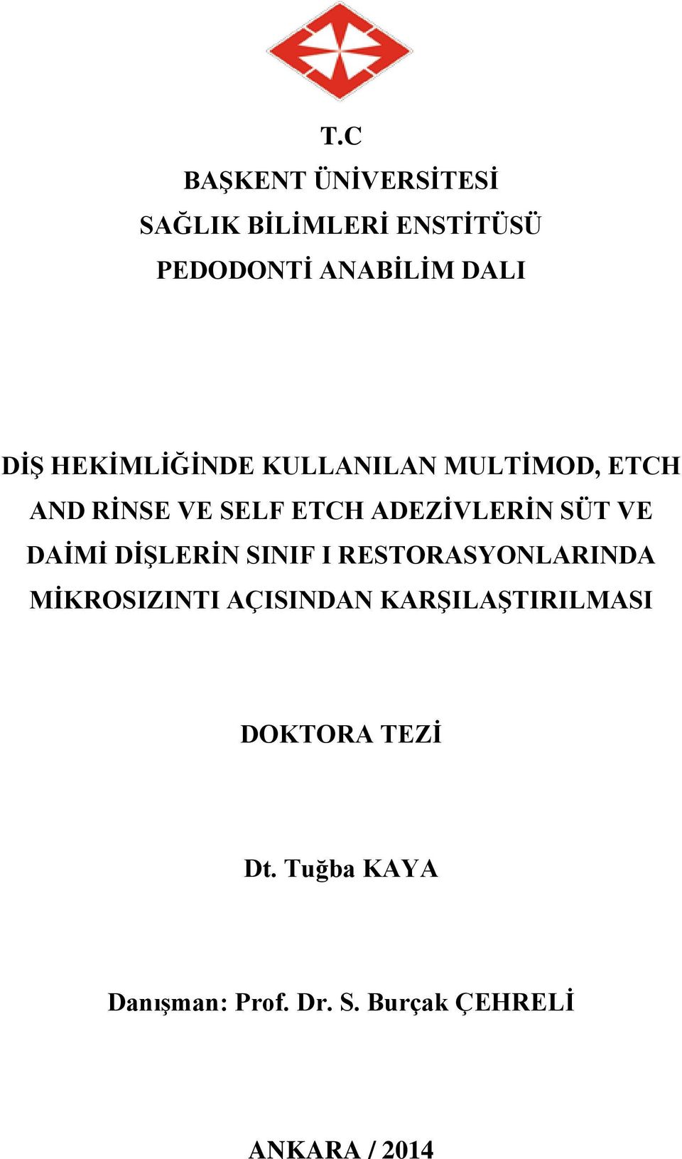 DAİMİ DİŞLERİN SINIF I RESTORASYONLARINDA MİKROSIZINTI AÇISINDAN