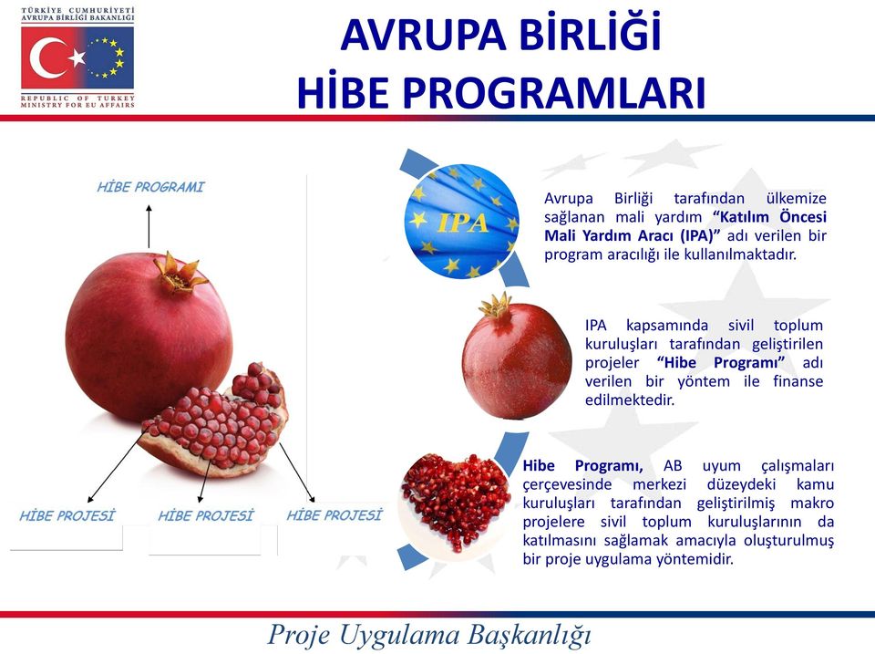 IPA kapsamında sivil toplum kuruluşları tarafından geliştirilen projeler Hibe Programı adı verilen bir yöntem ile finanse edilmektedir.