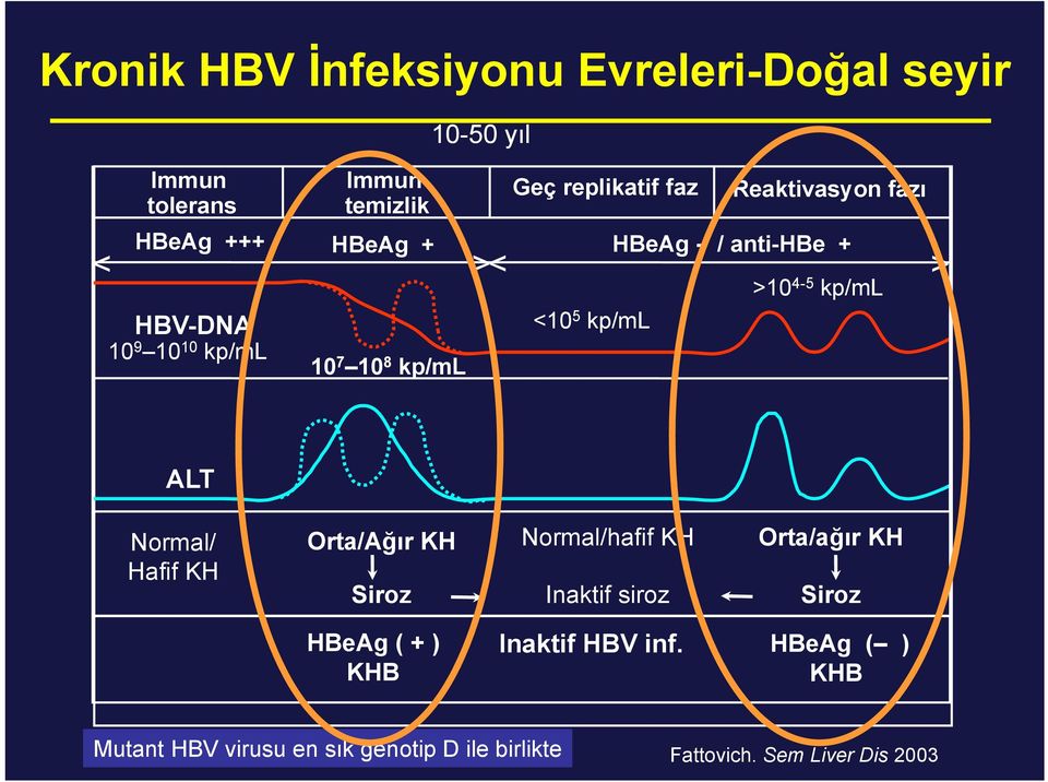 fazı >10 4-5 kp/ml ALT Normal/ Hafif KH Orta/Ağır KH Siroz Normal/hafif KH Inaktif siroz Orta/ağır KH Siroz