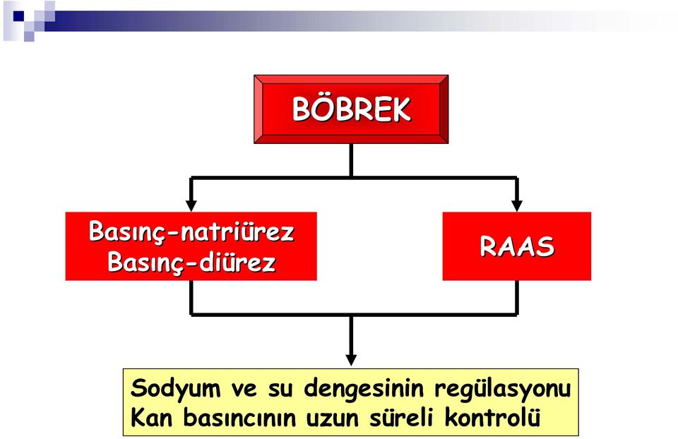 RAAS Sodyum ve su dengesinin