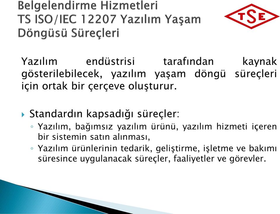 Standardın kapsadığı süreçler: Yazılım, bağımsız yazılım ürünü, yazılım hizmeti içeren