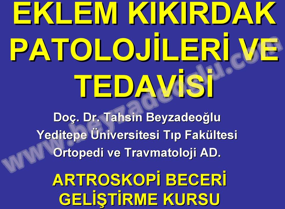 Tahsin Beyzadeoğlu Yeditepe Üniversitesi