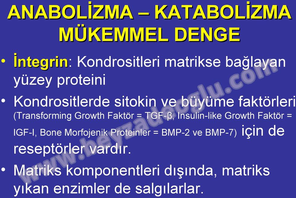 TGF-β, Insulin-like Growth Faktör = IGF-I, Bone Morfojenik Proteinler = BMP-2 ve BMP-7)