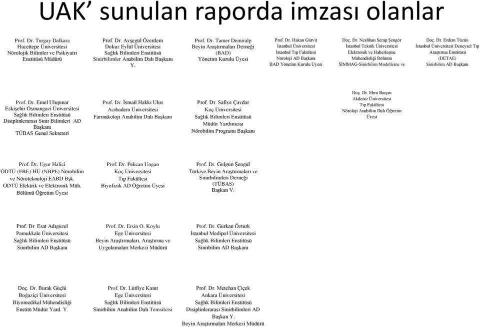 Dr. Neslihan Serap Şengör İstanbul Teknik Üniversitesi Elektronik ve Haberleşme Mühendisliği Bölümü SİMMAG-Sinirbilim Modelleme ve Doç. Dr.