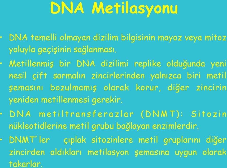 bozulmamış olarak korur, diğer zincirin yeniden metillenmesi gerekir.