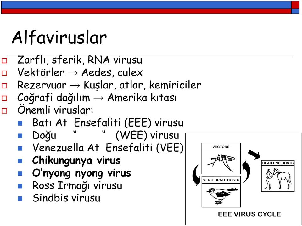 Batı At Ensefaliti (EEE) virusu Doğu (WEE) virusu Venezuella At Ensefaliti