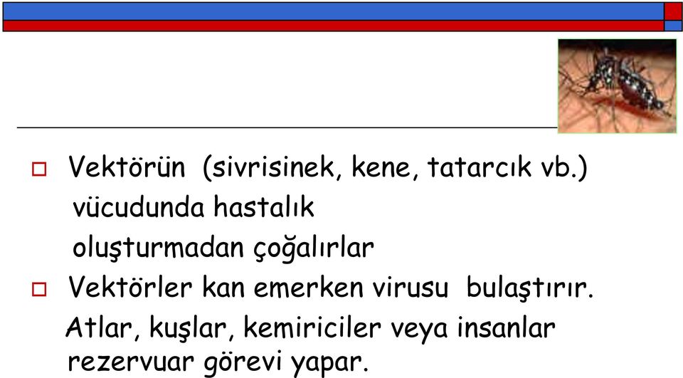 Vektörler kan emerken virusu bulaştırır.