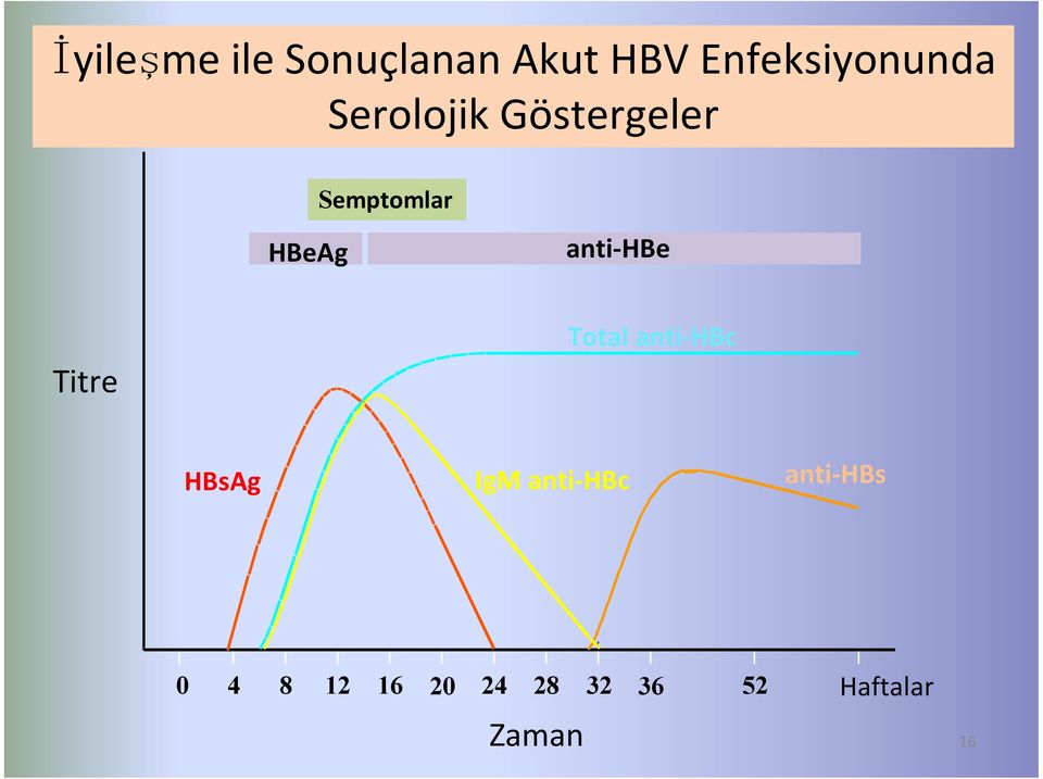 Titre Total anti-hbc HBsAg IgM anti-hbc