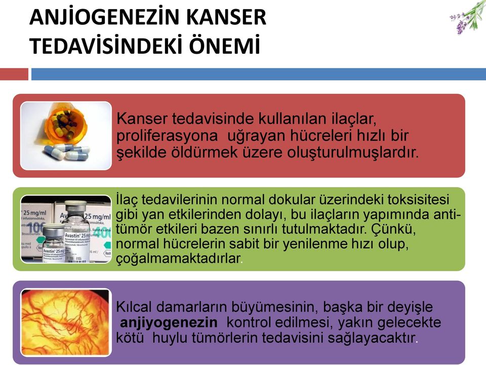 İlaç tedavilerinin normal dokular üzerindeki toksisitesi gibi yan etkilerinden dolayı, bu ilaçların yapımında antitümör etkileri bazen