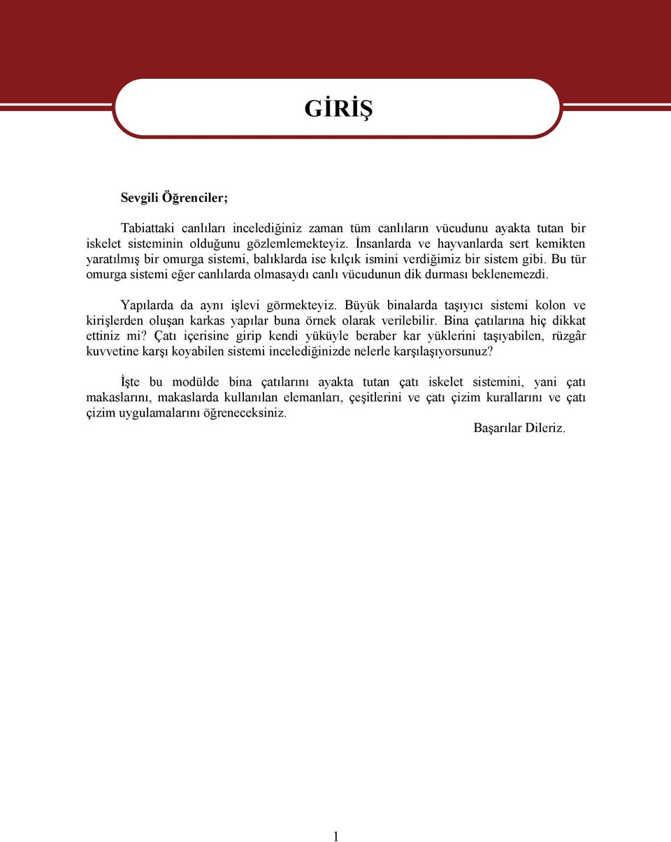 Bu tür omurga sistemi eğer canlılarda olmasaydı canlı vücudunun dik durması beklenemezdi. Yapılarda da aynı işlevi görmekteyiz.