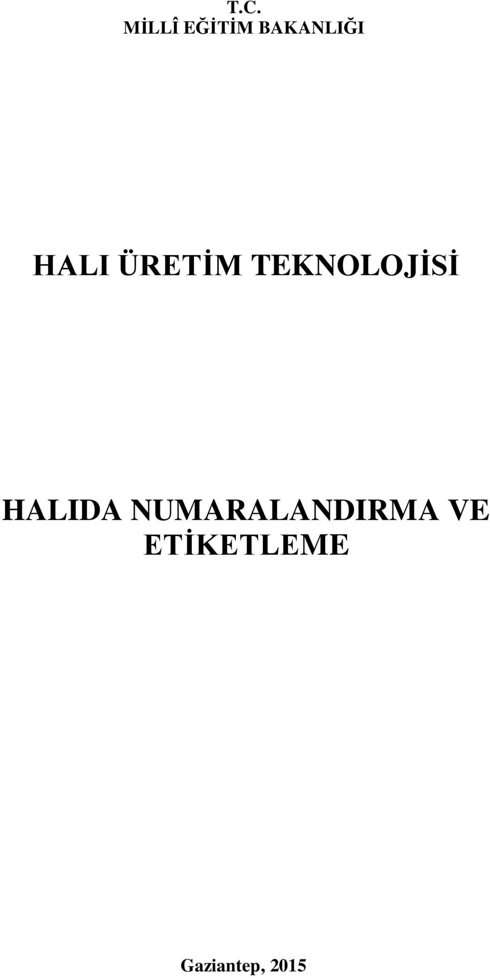 TEKNOLOJİSİ HALIDA