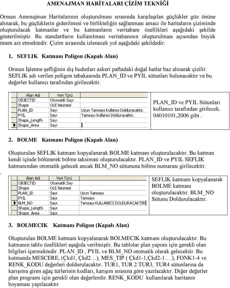 Bu standartların kullanılması veritabanının oluģturulması açısından büyük önem arz etmektedir. Çizim sırasında izlenecek yol aģağıdaki Ģekildedir: 1.