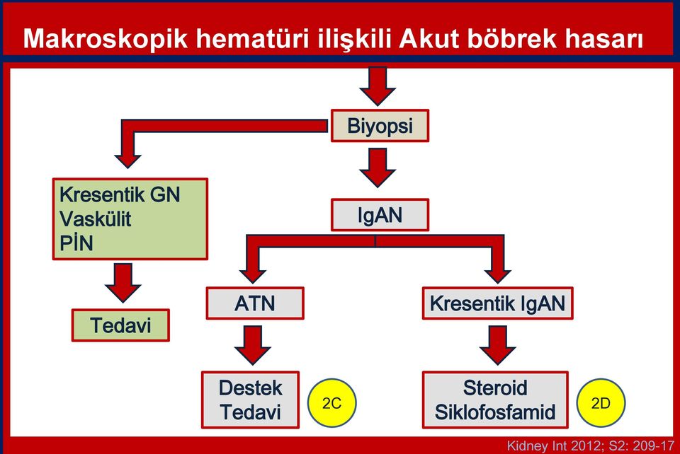 Kresentik GN Vaskülit PİN IgAN Tedavi ATN