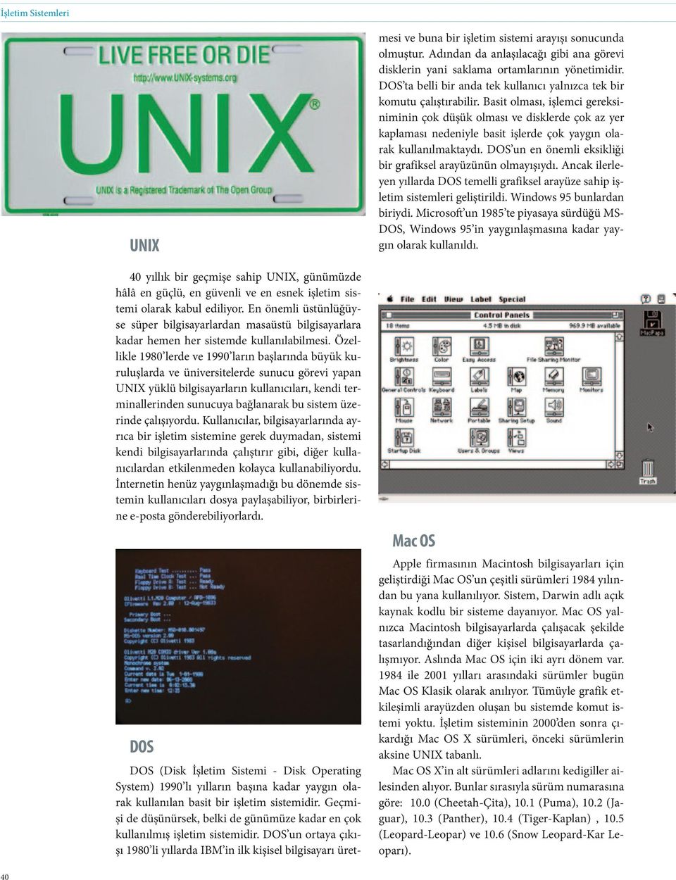 Özellikle 1980 lerde ve 1990 ların başlarında büyük kuruluşlarda ve üniversitelerde sunucu görevi yapan UNIX yüklü bilgisayarların kullanıcıları, kendi terminallerinden sunucuya bağlanarak bu sistem