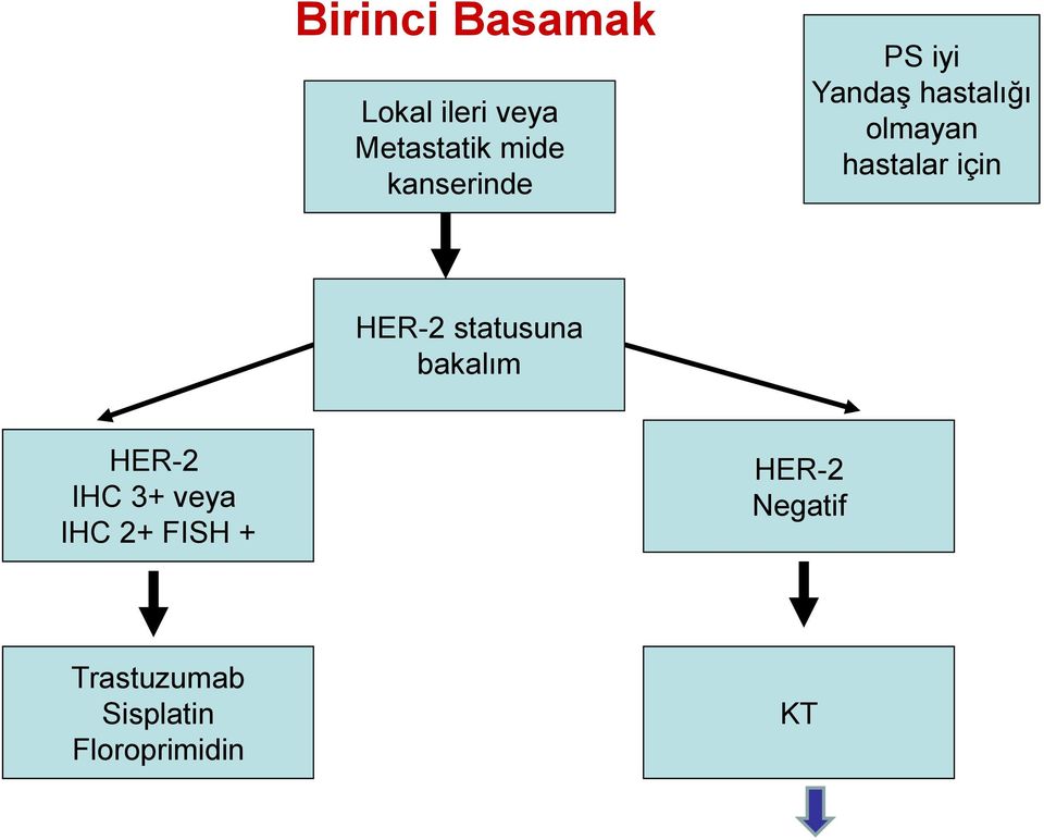 için HER-2 statusuna bakalım HER-2 IHC 3+ veya IHC 2+