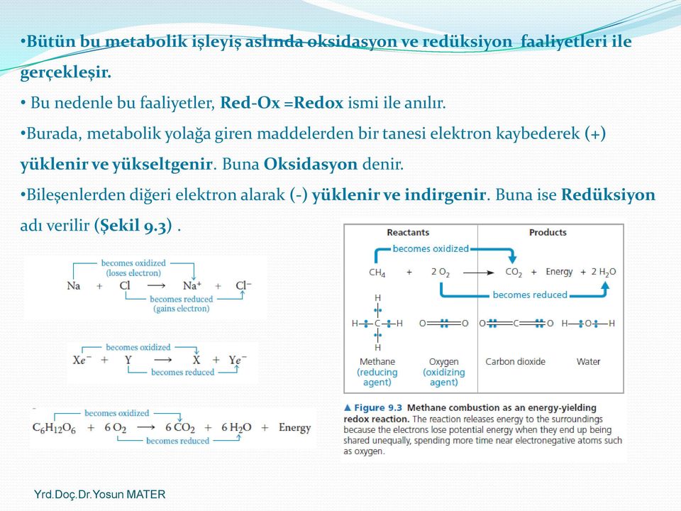 Burada, metabolik yolağa giren maddelerden bir tanesi elektron kaybederek (+) yüklenir ve