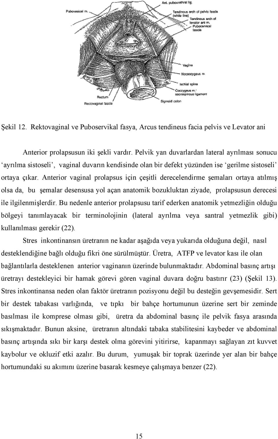 Anterior vaginal prolapsus için çeşitli derecelendirme şemaları ortaya atılmış olsa da, bu şemalar desensusa yol açan anatomik bozukluktan ziyade, prolapsusun derecesi ile ilgilenmişlerdir.