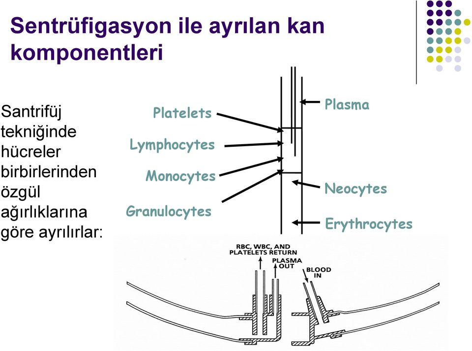 özgül ağırlıklarına göre ayrılırlar: Platelets