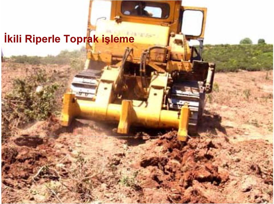 Toprak