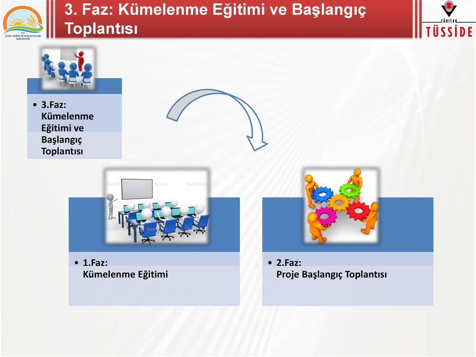 Faz: Kümelenme Eğitimi ve Başlangıç