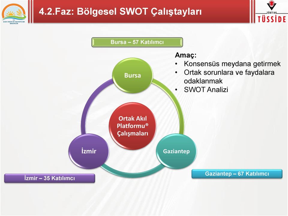 faydalara odaklanmak SWOT Analizi Ortak Akıl Platformu