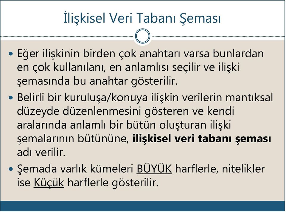 Belirli bir kuruluşa/konuya ilişkin verilerin mantıksal düzeyde düzenlenmesini gösteren ve kendi aralarında