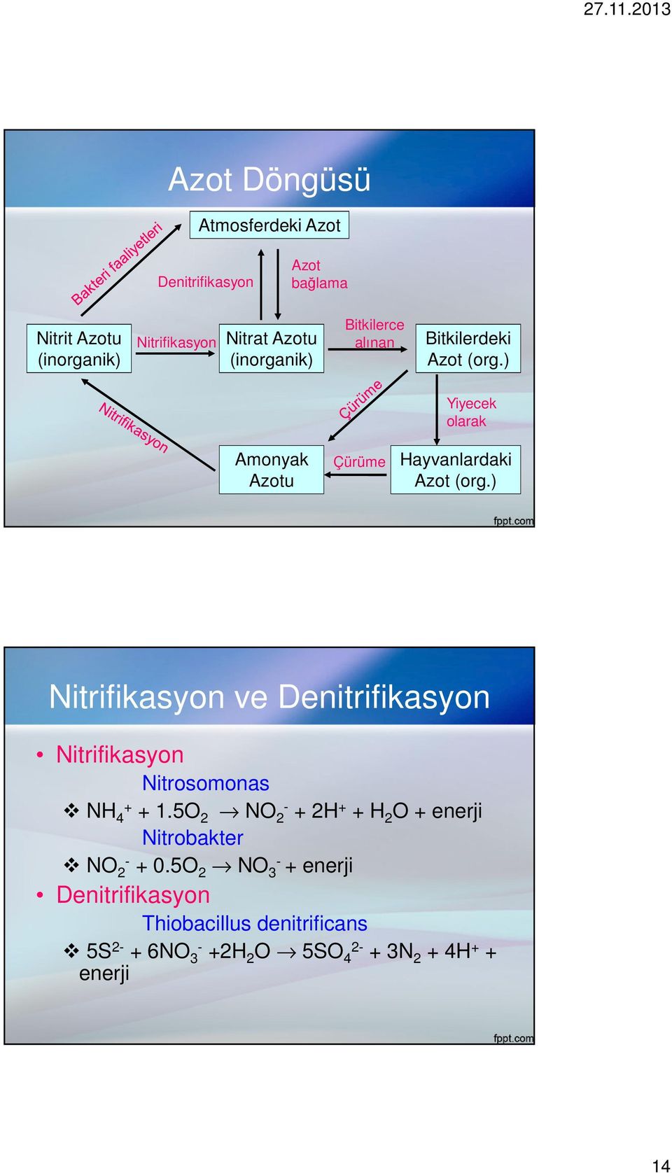 ) Nitrifikasyon ve Denitrifikasyon Nitrifikasyon Nitrosomonas NH 4+ + 1.