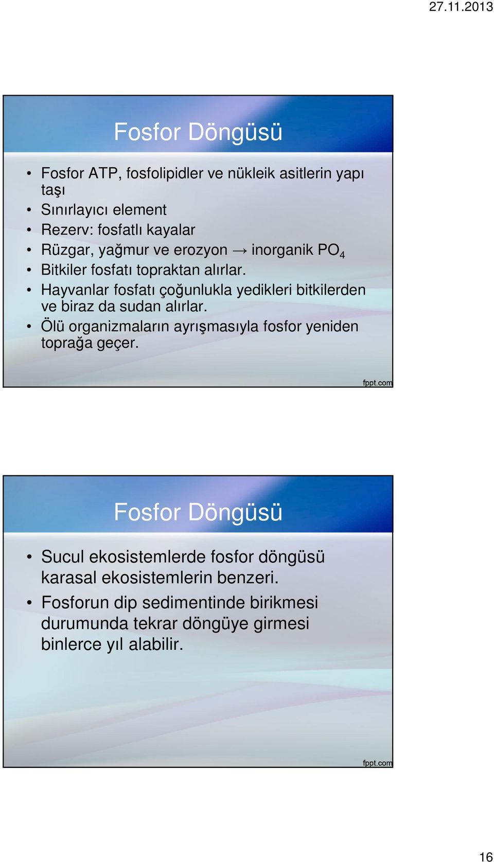 Hayvanlar fosfatı çoğunlukla yedikleri bitkilerden ve biraz da sudan alırlar.