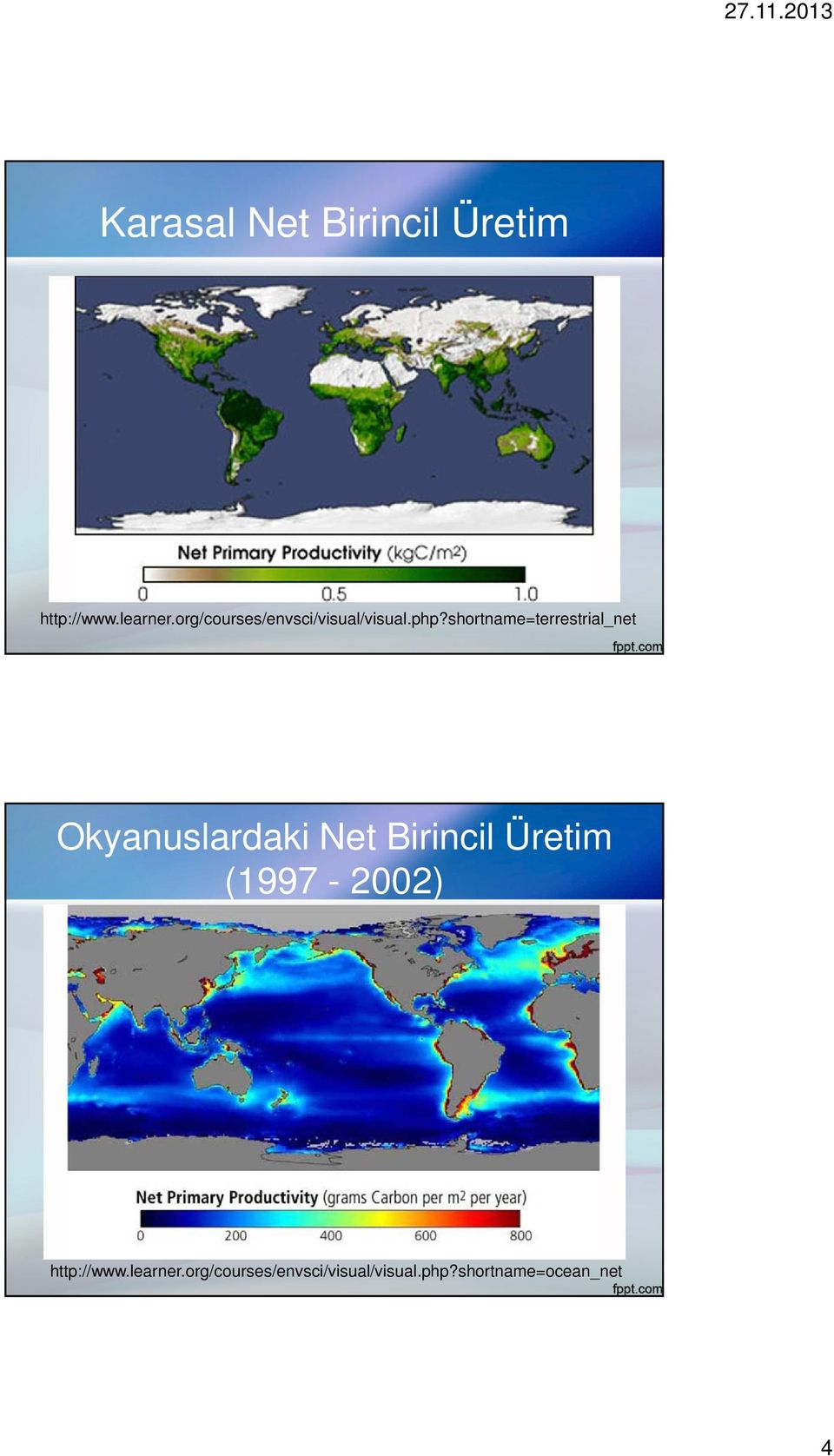 shortname=terrestrial_net Okyanuslardaki Net Birincil