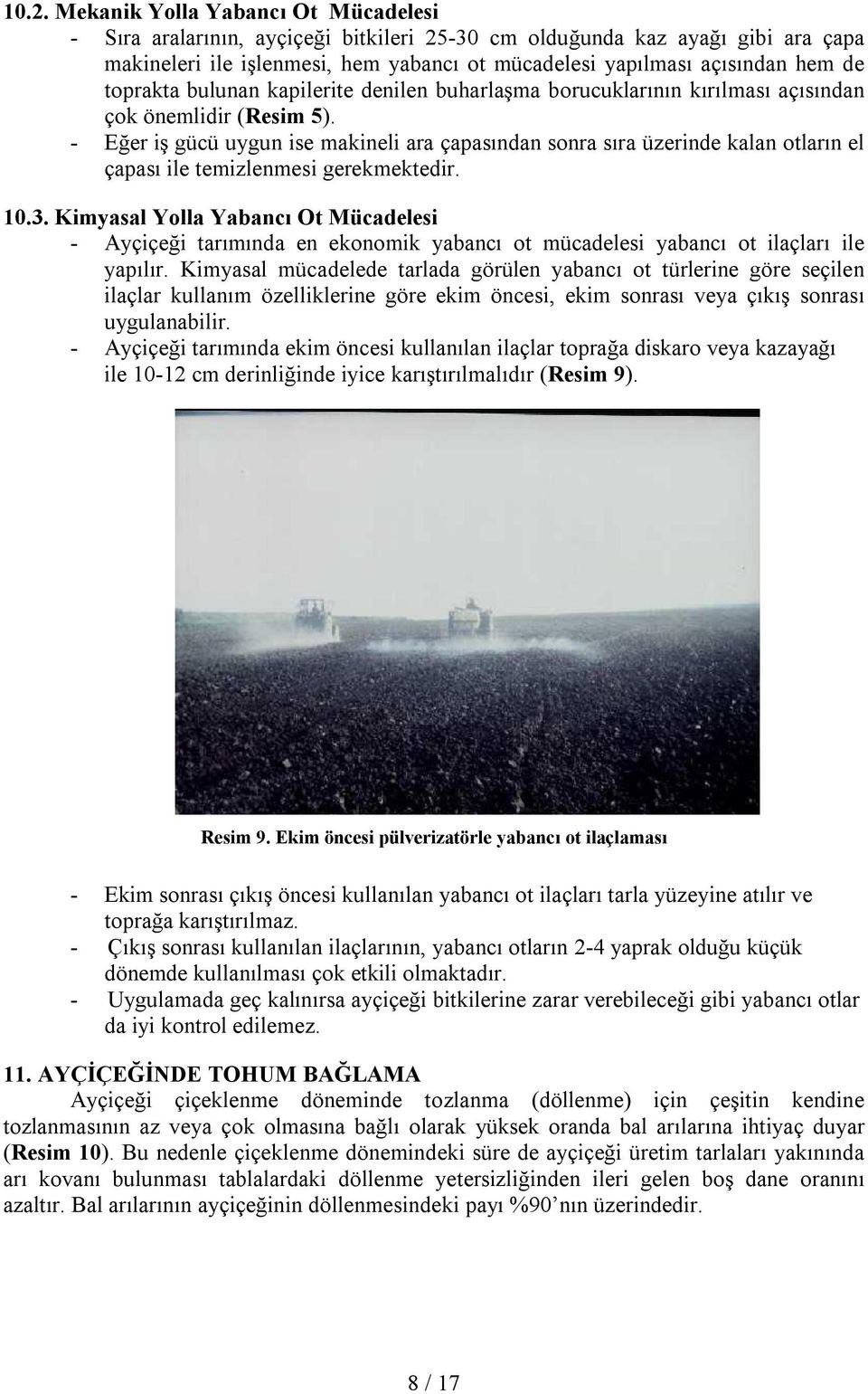 - Eğer iş gücü uygun ise makineli ara çapasından sonra sıra üzerinde kalan otların el çapası ile temizlenmesi gerekmektedir. 10.3.