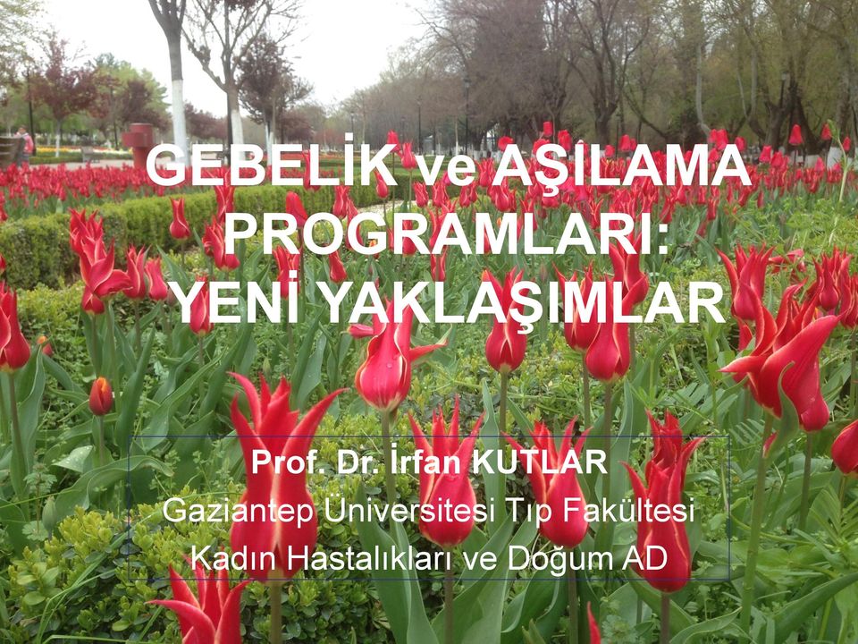 İrfan KUTLAR Gaziantep Üniversitesi