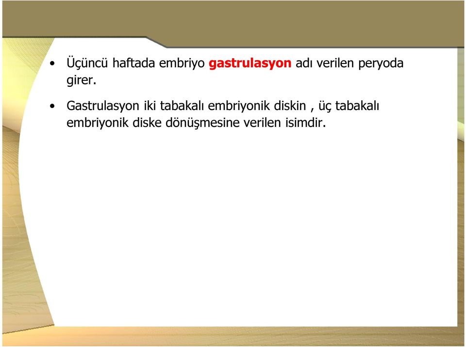 Gastrulasyon iki tabakalı embriyonik