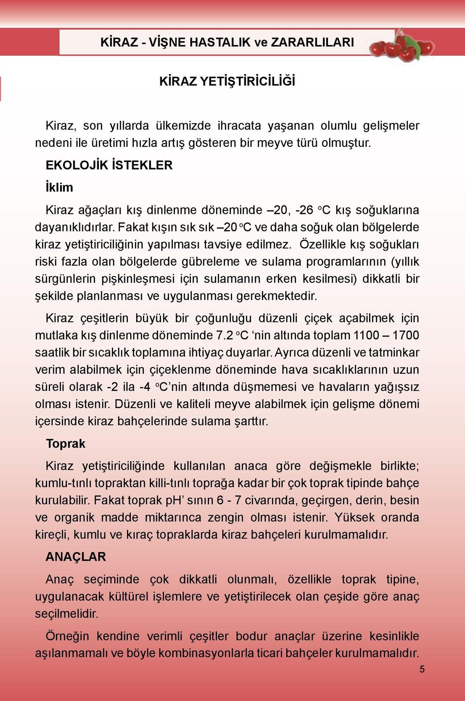 Fakat kışın sık sık 20 o C ve daha soğuk olan bölgelerde kiraz yetiştiriciliğinin yapılması tavsiye edilmez.