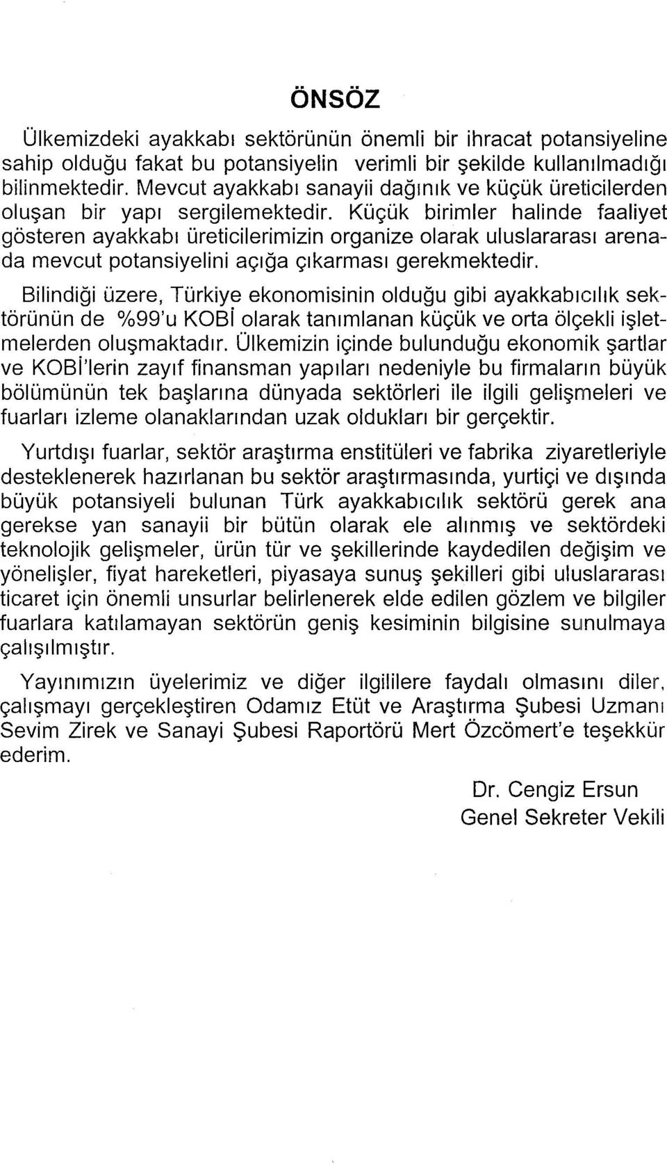 Küçük birimler halinde faaliyet gösteren ayakkabı üreticilerimizin organize olarak uluslararası arenada mevcut potansiyelini açığa çıkarması gerekmektedir.