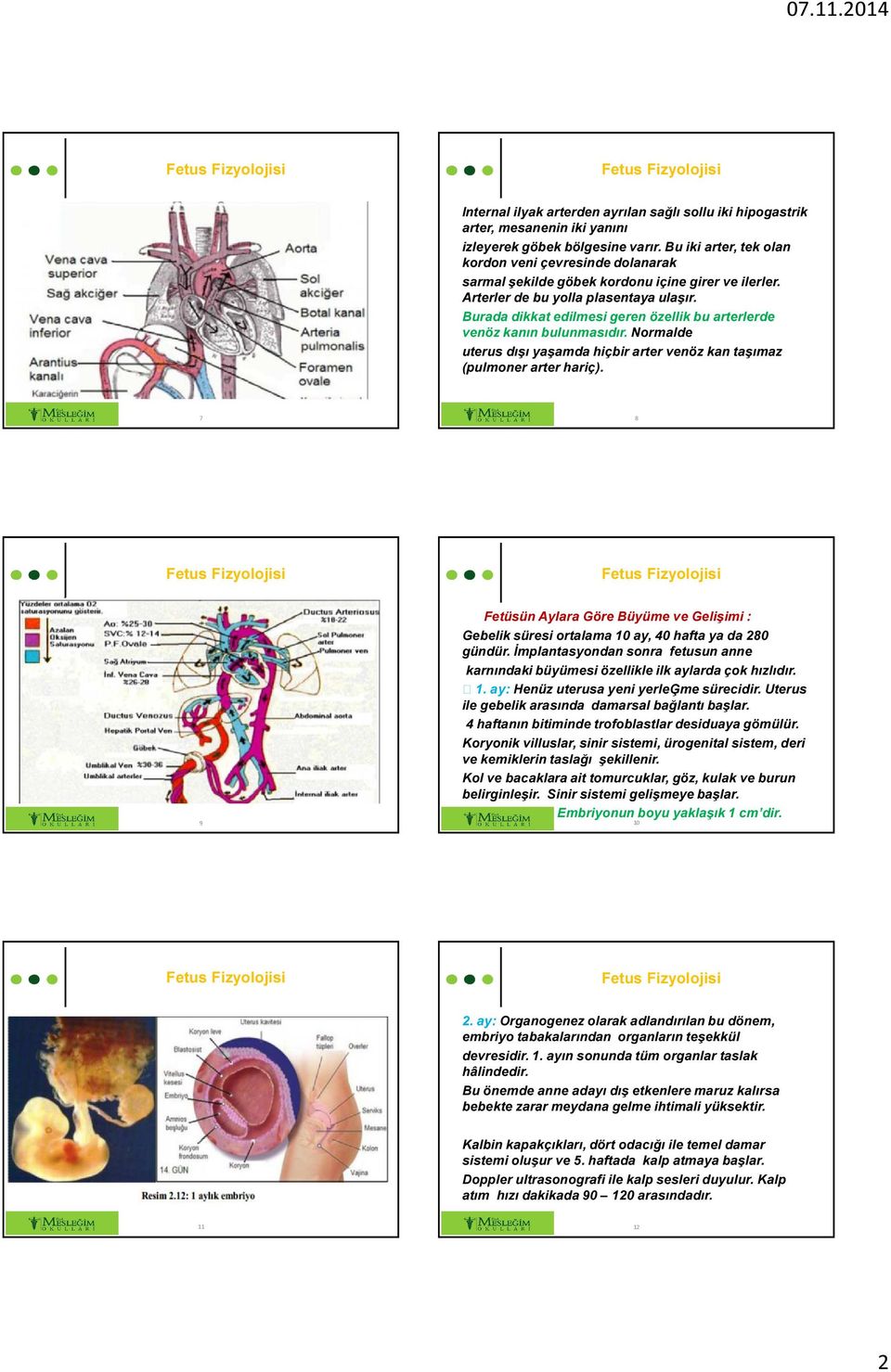 Burada dikkat edilmesi geren özellik bu arterlerde venöz kanın bulunmasıdır. Normalde uterus dışı yaşamda hiçbir arter venöz kan taşımaz (pulmoner arter hariç).